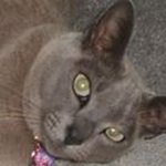 Pat Worthington - @patpatworthip - Instagram