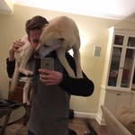 Patrick Worthing - @pat.worthing - Instagram
