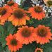Pat Yager - Facebook
