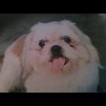 Pat Yager - @patscooter10 - Instagram