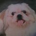 Pat Yager - Facebook