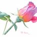 Pat Yager Studio - Facebook