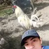 Jay-ary Patyang - @jayary.patyang - TikTok