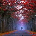 Pat Yang - @lovelovesummer0430 - Instagram