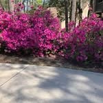 pat Yarbrough - @patyarbrough1 - Instagram