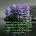 Pat Yarbrough - Facebook