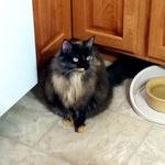 Pat Yeager - @yeager_pat - Instagram