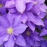 Pat Yeager - @yeager.pat - Instagram