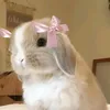 pat yee - @thadarmoehtat - TikTok