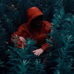Pat Yeo - @yeo3538 - Instagram