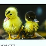 Магомедова Патимат - @patyi__m - Instagram