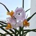 Pat Yuen - Facebook