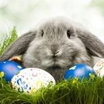 Pat Yuen - @pat.yuen.73 - Instagram