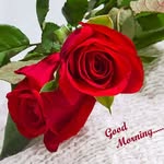 Patel Ashvin - @patelashvin8715 - Instagram