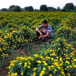 Patel Jaymin - @patel.jaymin.395669 - Instagram