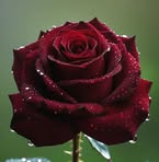 Patel Narendra - Facebook