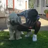Parth Patel - @parth_patel678 - TikTok