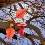 pathik Sharma - @pathiksharma99 - Instagram