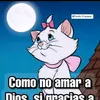 Pati Sanchez - @pati.sanchez96 - TikTok
