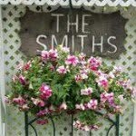 Pati Smith - @patismith66 - Instagram