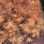 Patience Black - @patienceblackwell3715 - Instagram