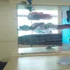 patienceclark67 - @patienceclark67 - TikTok