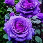 Patience Good - Facebook
