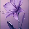 Patience knights - @patienceknights - TikTok