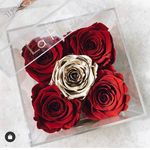 Patience_roses - @patience_roses - Instagram