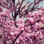 patience - @patience_stacy - Instagram