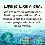 Patience Thomas - @patience.thomas.1297 - Instagram
