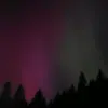 patience_WAllace?? - @patience_wallace - TikTok