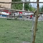 Patria Polanco - @patriapolanco4 - Instagram