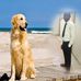 Patrice Amos - Facebook