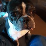 Patrice Filson Boyd - @patriceboyd50 - Instagram