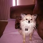 Patricia Collier - @patricia.collier.568 - Instagram