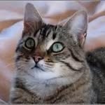 Patrice David - @davidpatrice0044 - Instagram