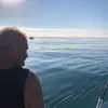 Patrice David - @patrice.david8 - TikTok