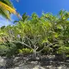 patrice handbook - @patrice.handbook - TikTok
