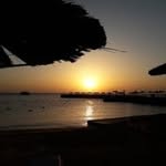 patricehess - @patricehess29 - Instagram
