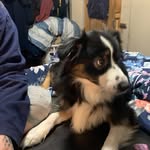 Patricia Hess - @silverwingz57 - Instagram