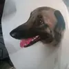 patricehubert1 - @patricehubert1 - TikTok
