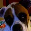 Patricia Lambert - @patricia.lambert2 - TikTok