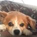 Patrice Larson - Facebook