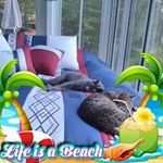 Patricia Larson - @patricia.larson.792 - Instagram