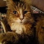 Pattie Hardy Larson - @patrice.larson.96 - Instagram