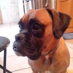 Patrice Mathieu - @mathieu_patrice - Instagram