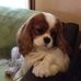 Patrice Mathieu - Facebook