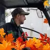 meyerdirk - @meyerdirk - TikTok