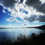 Vince - @patricemoondog - Instagram